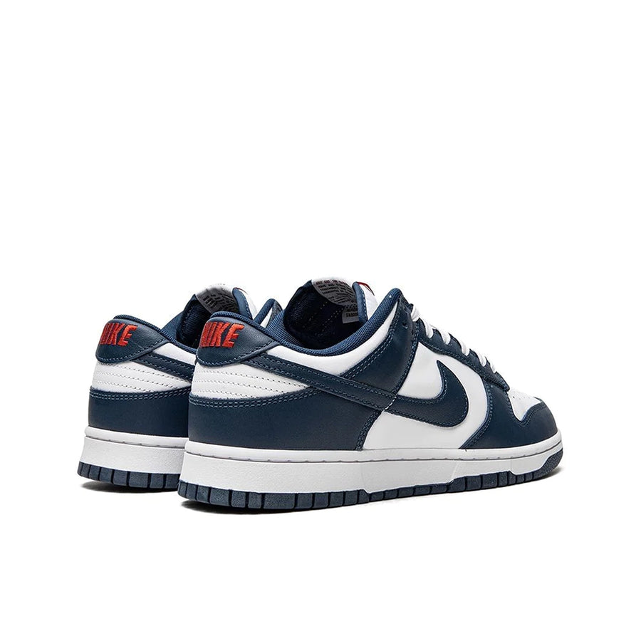 A pair of the Nike dunk low in a blue white "valerian blue" colour