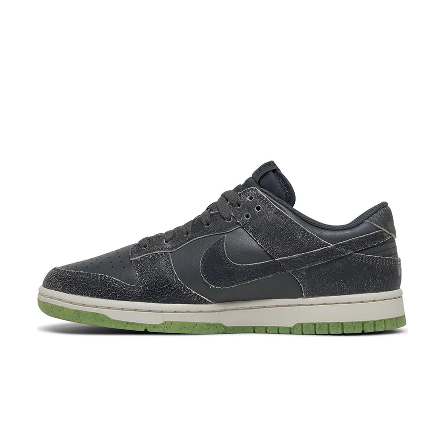 Side of the Nike Dunk Low Swoosh Shadow Iron Grey sneakers in grey